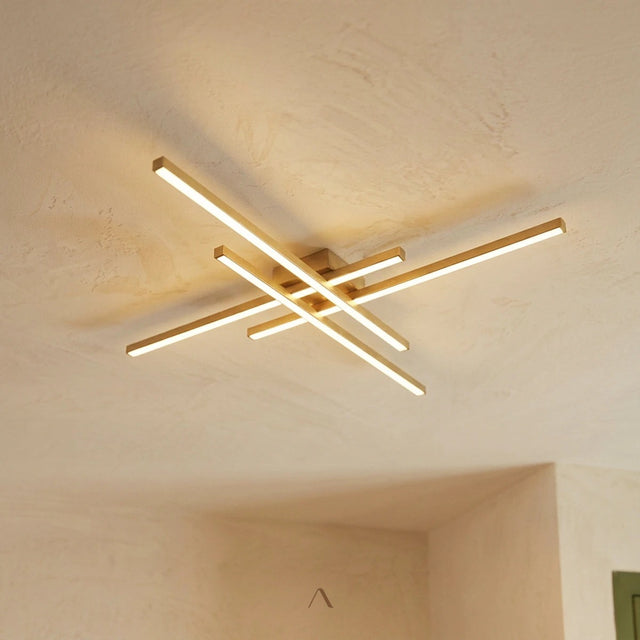Shroud Ceiling Light