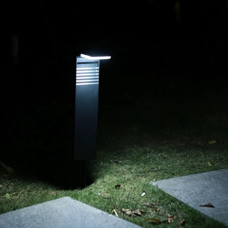 Silica Garden Lamp