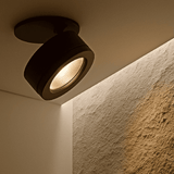 Peridot Downlight