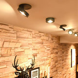 Peridot Downlight