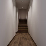 Peridot Downlight