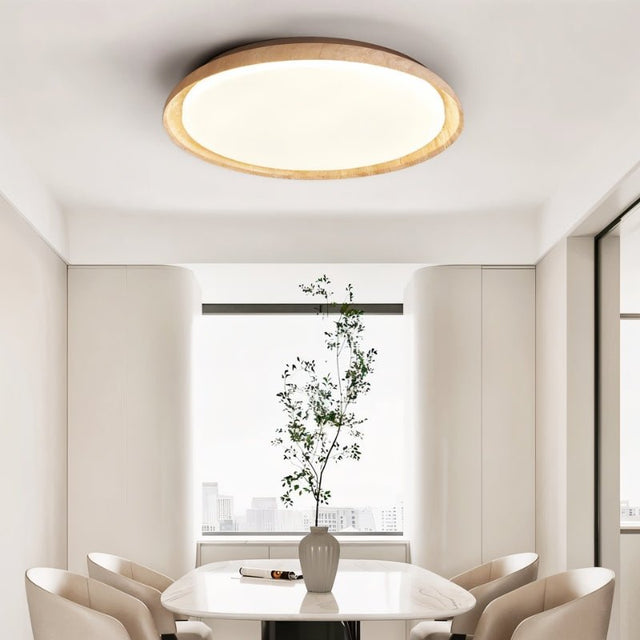 Tech Ceiling Light