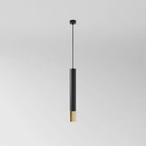 Macro Pendant Light