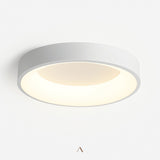 Stay Ceiling Light