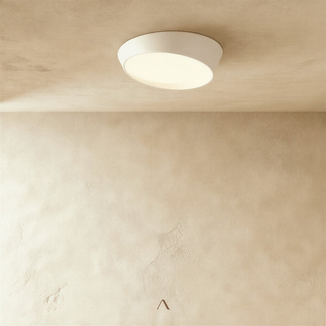 Stern Ceiling Light