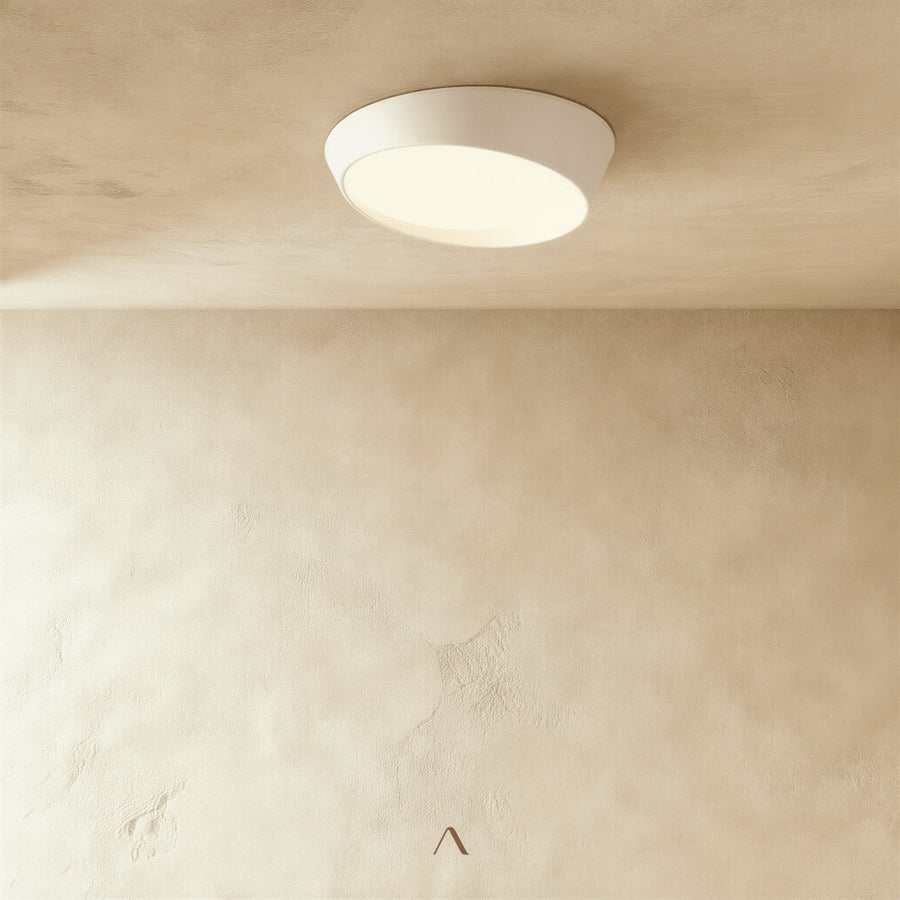 Stern Ceiling Light