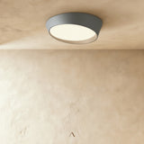 Stern Ceiling Light