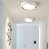 Stern Ceiling Light