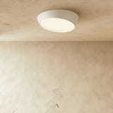 Stern Ceiling Light