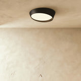 Stern Ceiling Light