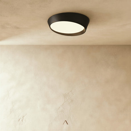 Stern Ceiling Light