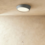 Stern Ceiling Light