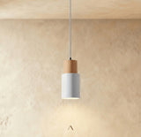 Stoma Pendant Light