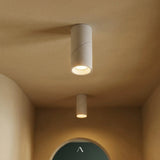 Suvetar Downlight