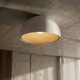 Tack Ceiling Light
