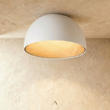 Tack Ceiling Light