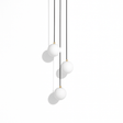 Veluwe Chandelier
