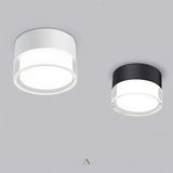 Tapio Downlight