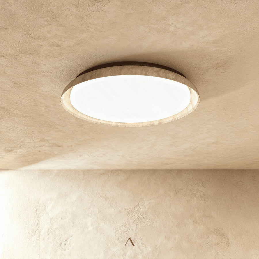 Tech Ceiling Light