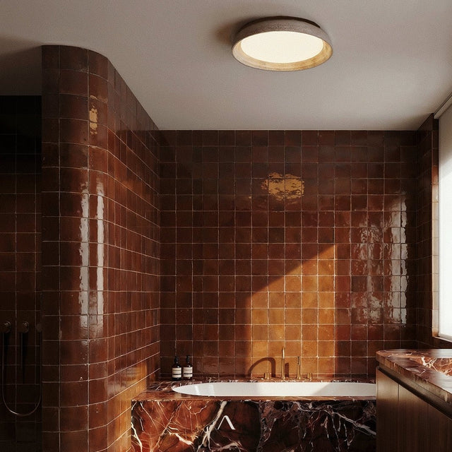 Tech Ceiling Light
