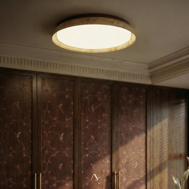 Tech Ceiling Light