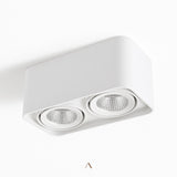 Tellervo Downlight