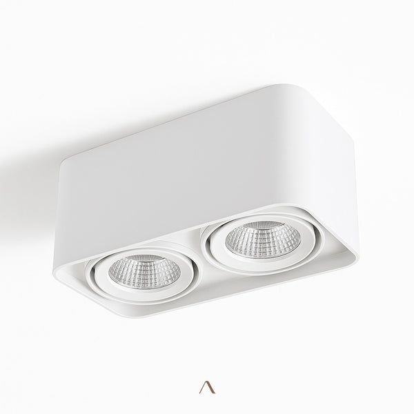 Tellervo Downlight