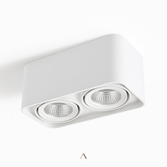 Tellervo Downlight