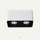 Tellervo Downlight