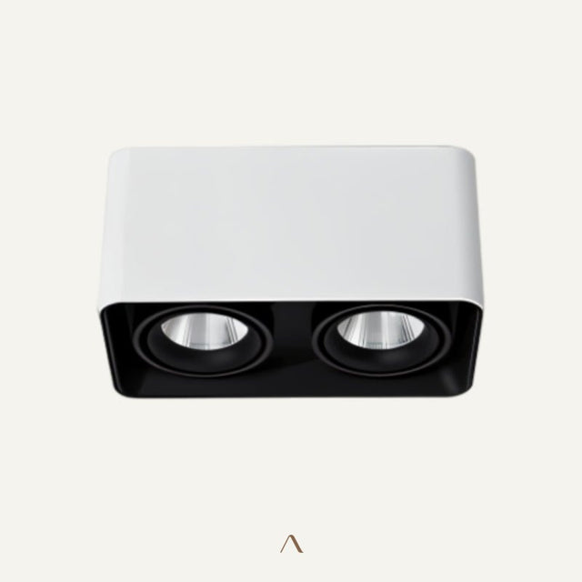 Tellervo Downlight