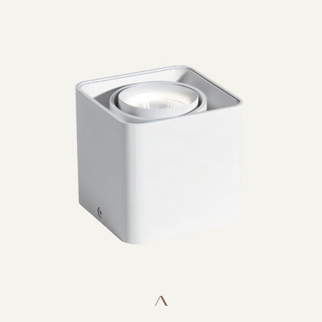 Tellervo Downlight