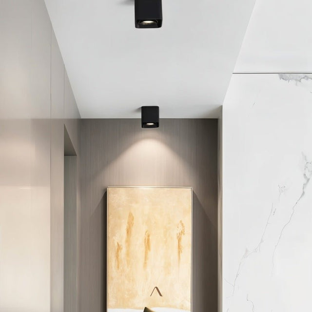 Tellervo Downlight