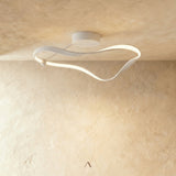 Tow Ceiling Light