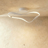 Tow Ceiling Light