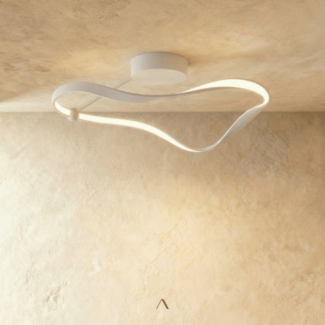 Tow Ceiling Light