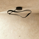 Tow Ceiling Light