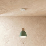 Transom Pendant Light