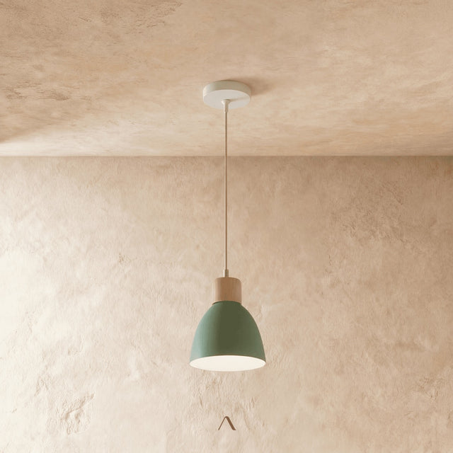 Transom Pendant Light