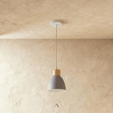 Transom Pendant Light