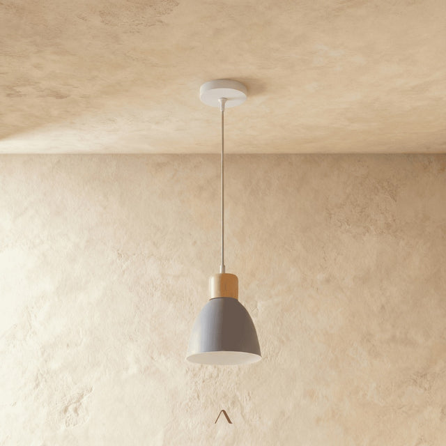 Transom Pendant Light