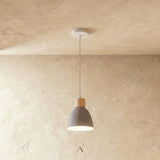 Transom Pendant Light