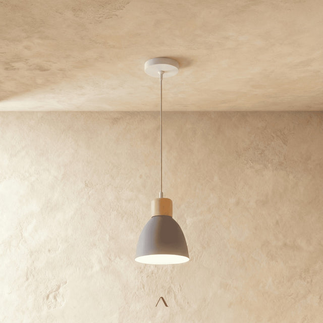 Transom Pendant Light