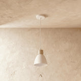 Transom Pendant Light