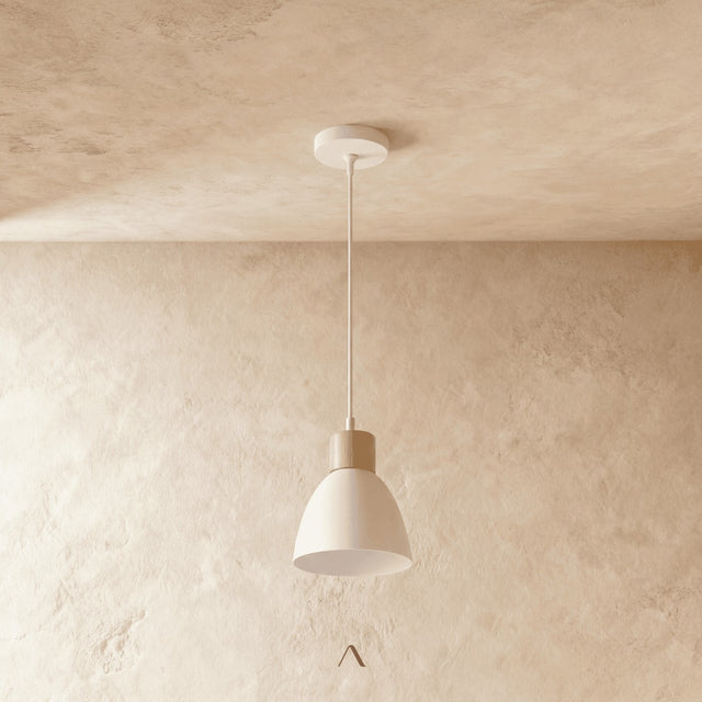 Transom Pendant Light