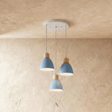 Transom Pendant Light