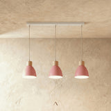 Transom Pendant Light
