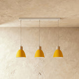 Transom Pendant Light