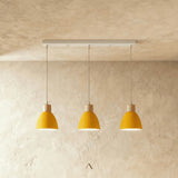 Transom Pendant Light