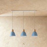 Transom Pendant Light
