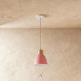 Transom Pendant Light